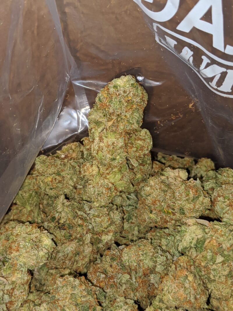 Jelly Breath - Image 5
