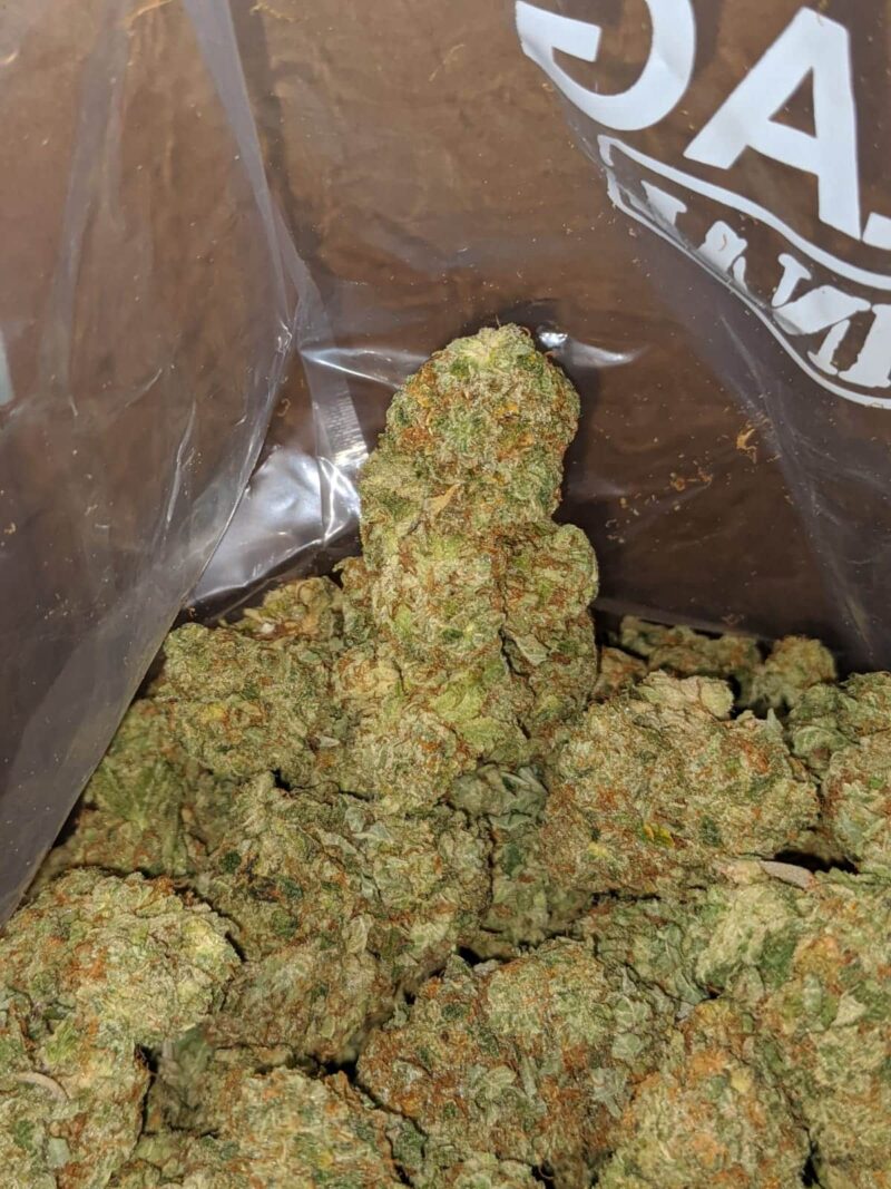 Jelly Breath - Image 4