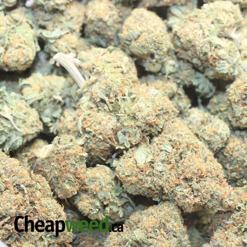 Jetfuel Kush - Image 3