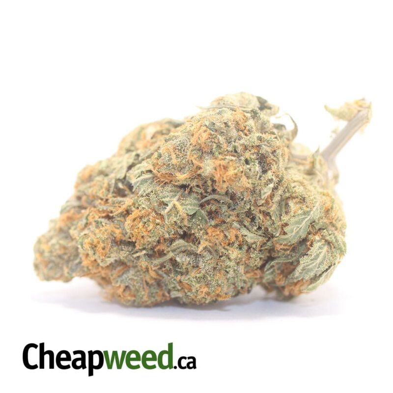 Jetfuel Kush
