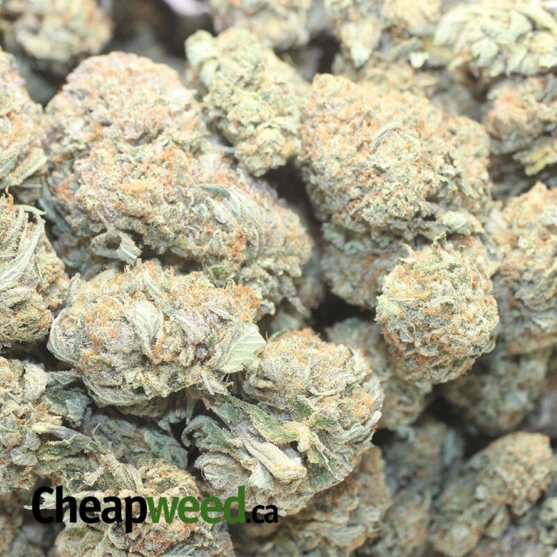 Jetfuel OG AAA - Image 3