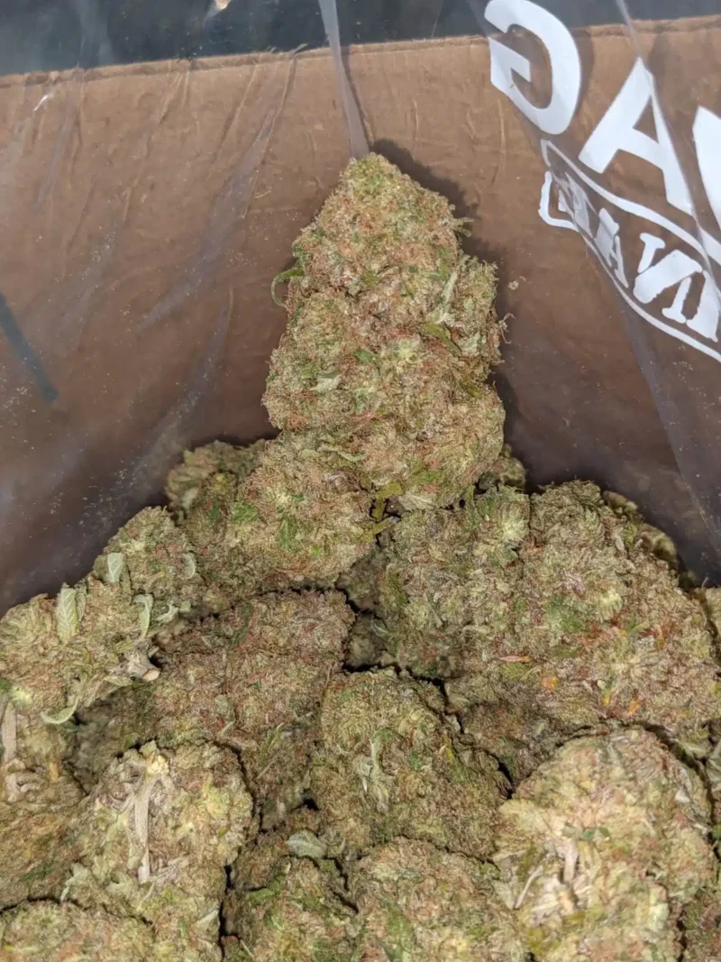 Cannalope Haze - Image 5