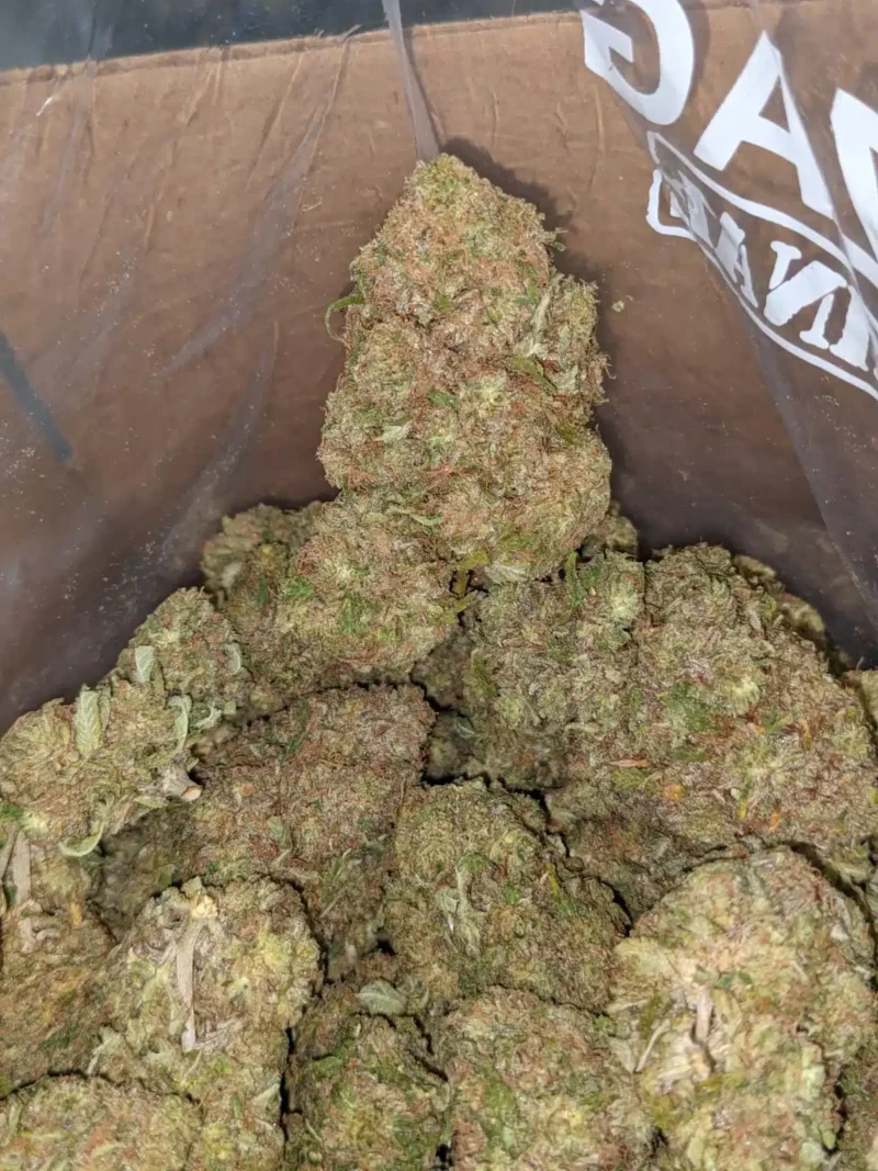 Cannalope Haze - Image 4