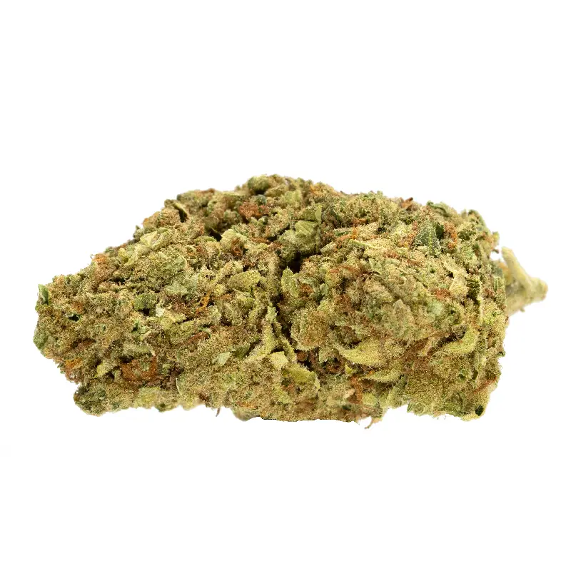 Jack Haze