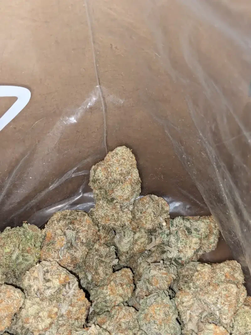 Jack Herer - Image 6