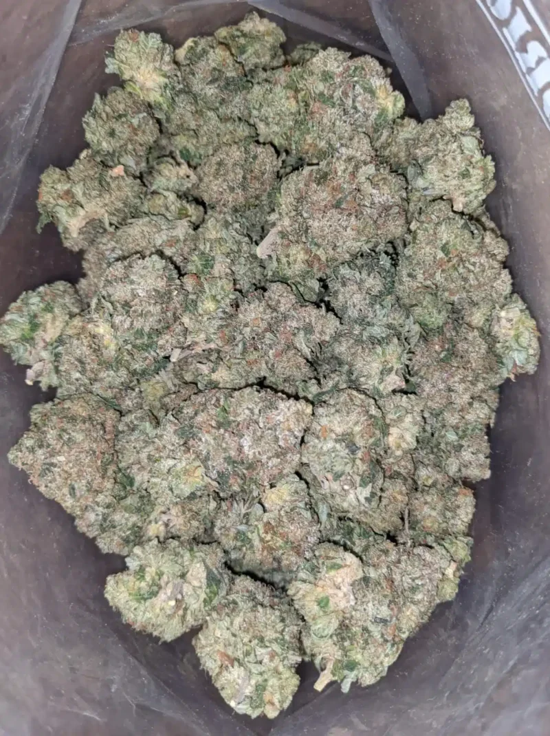Jedi Kush - Image 4