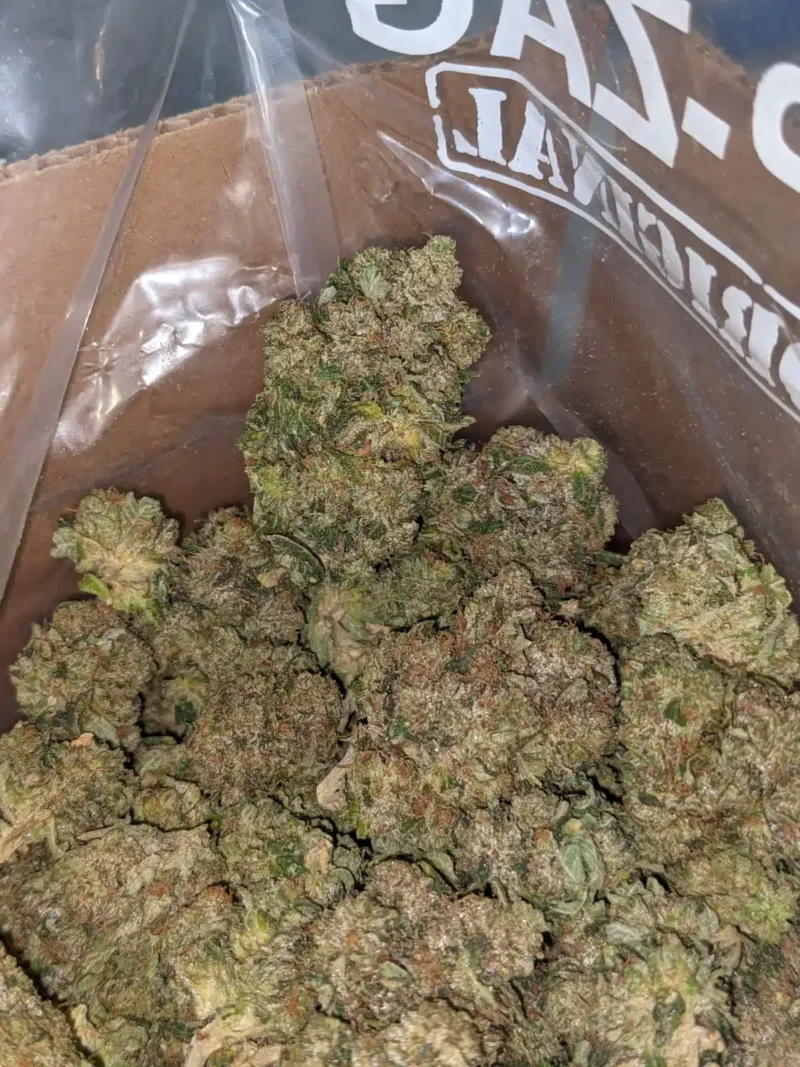 Jedi Kush - Image 6