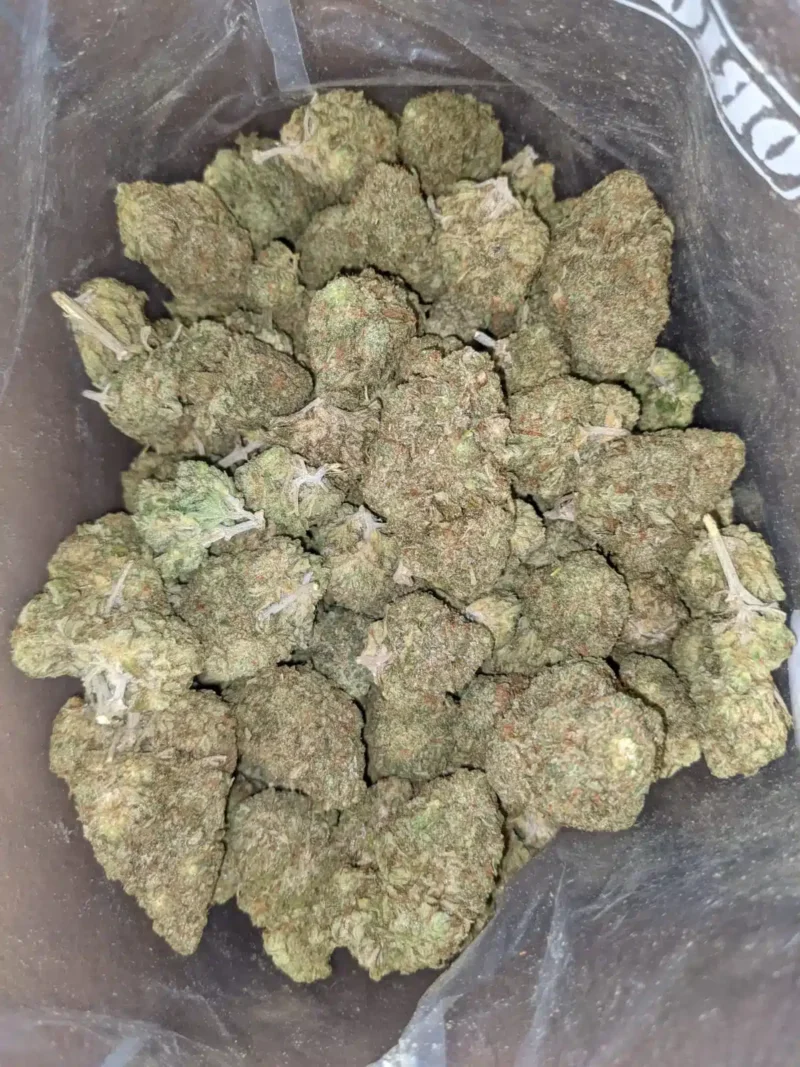 Jetfuel - Image 5