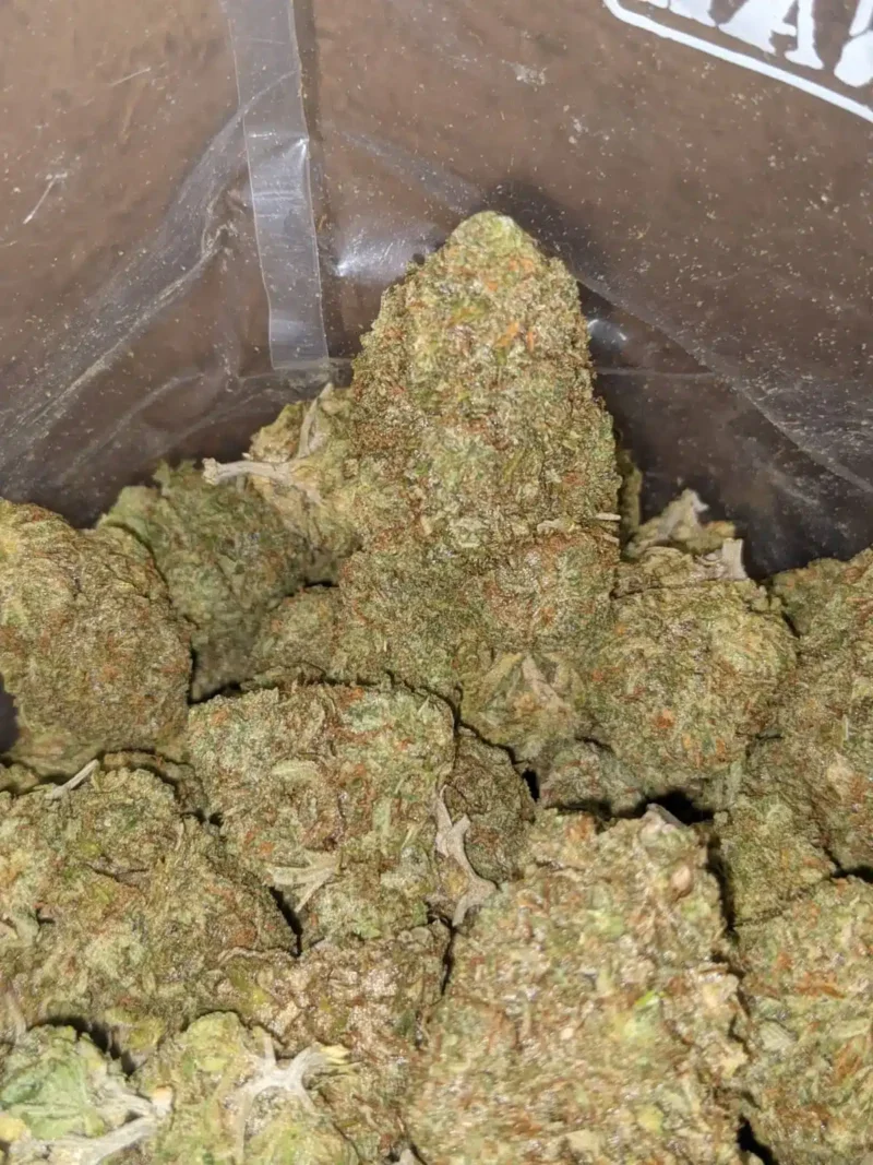 Jetfuel - Image 4