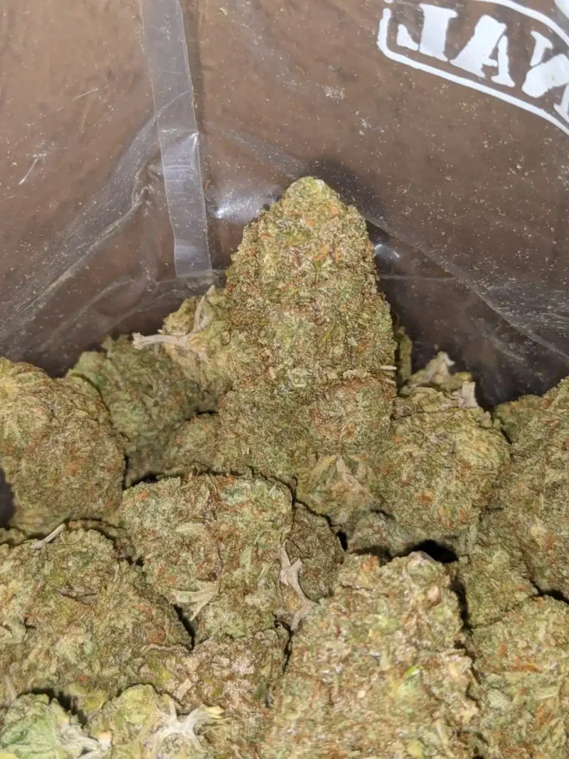 Jetfuel - Image 7