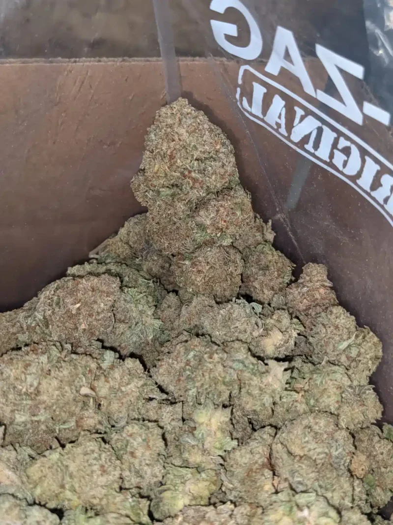 Jetfuel Gelato - Image 6