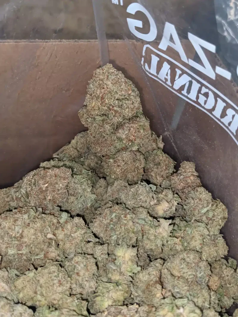 Jetfuel Gelato - Image 7