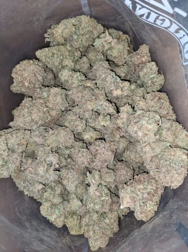 Jetfuel Gelato - Image 4