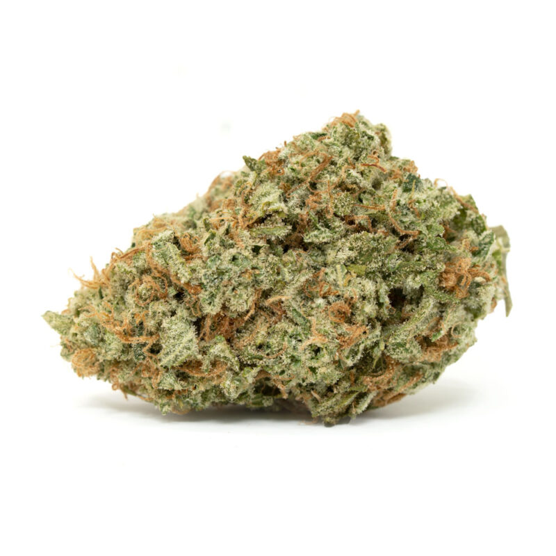 Jilly Bean