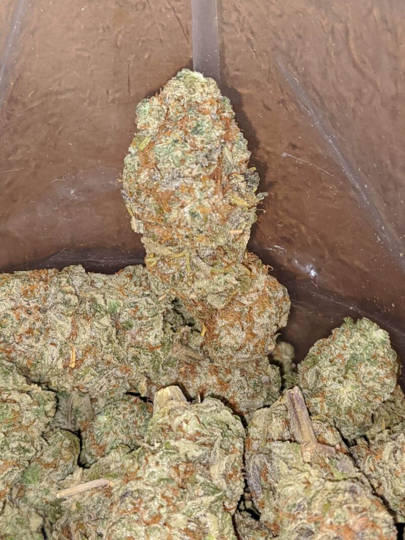 Fruit Punch #2 - Image 7
