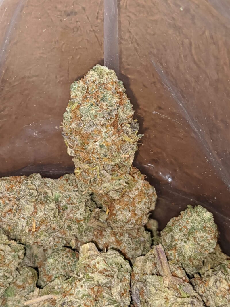 Fruit Punch #2 - Image 6