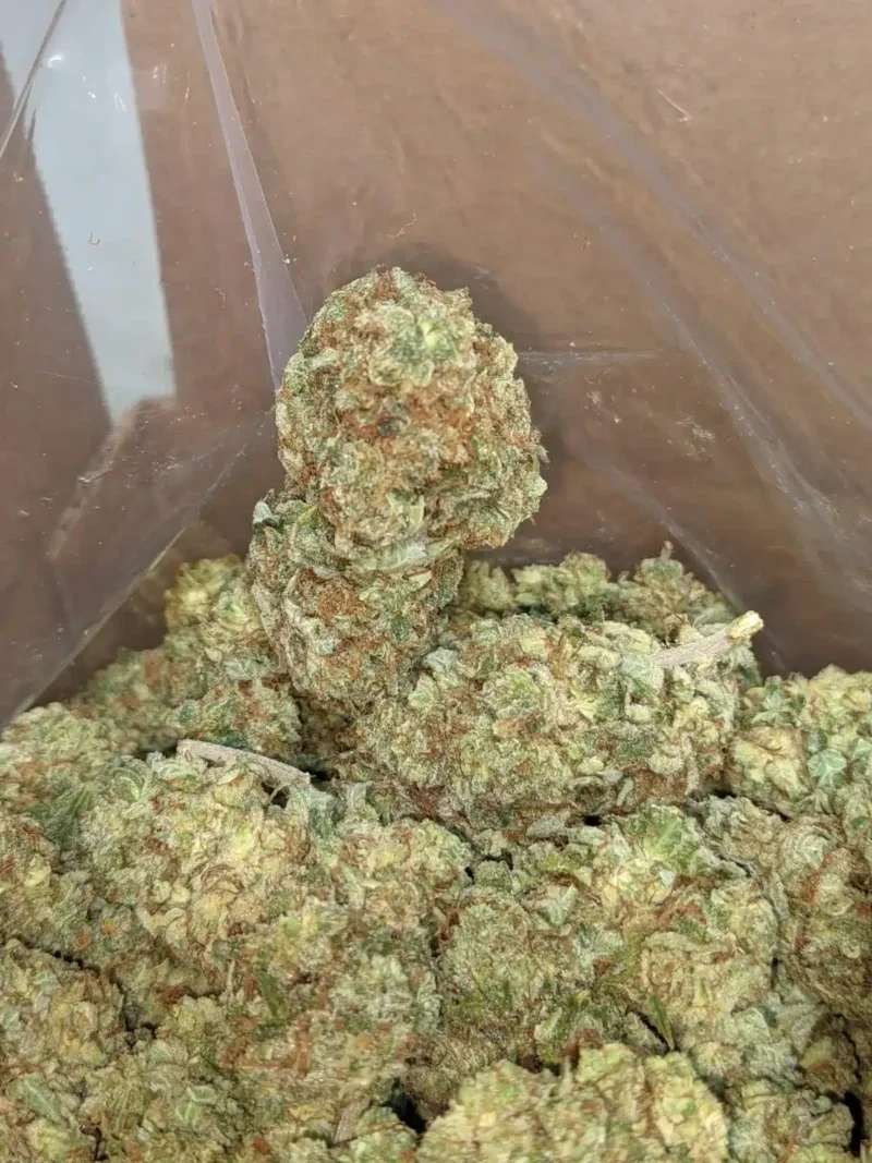 Kali Mist - Image 2