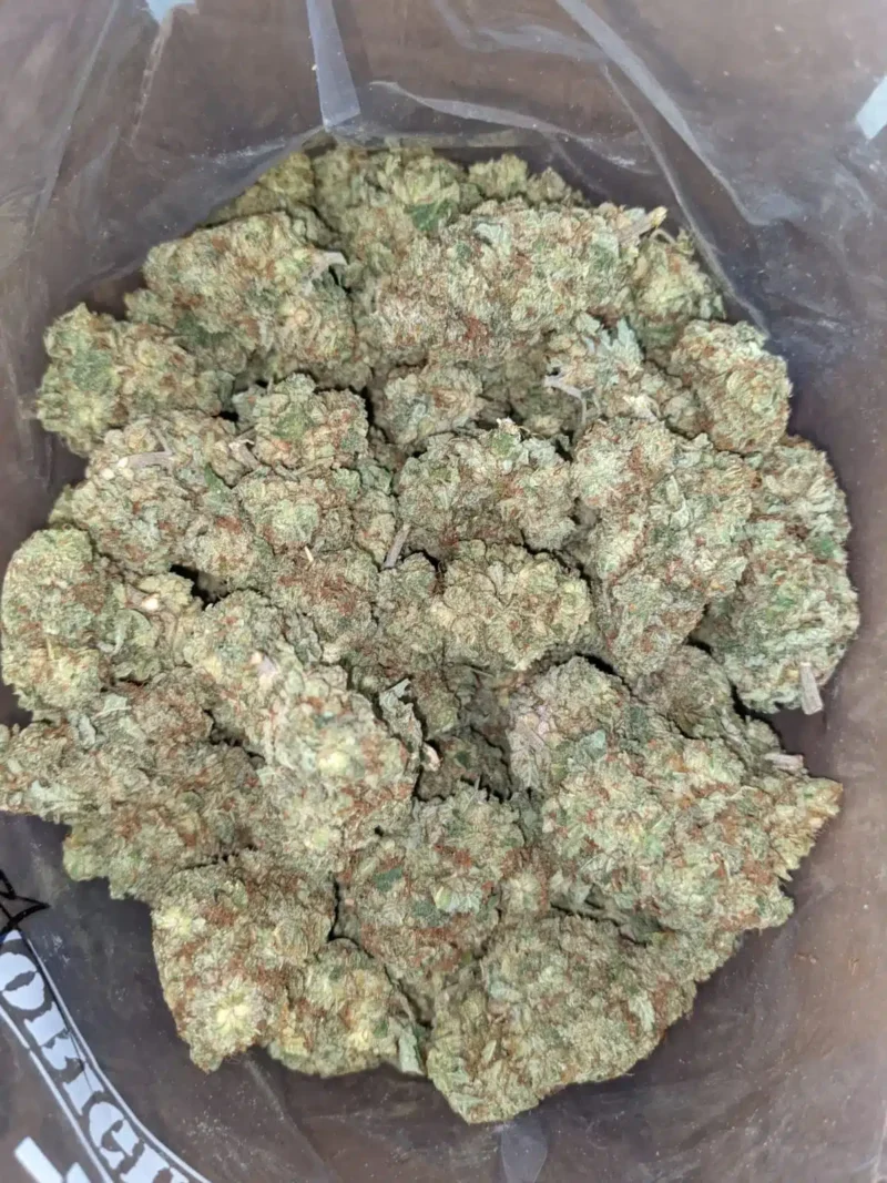 Kali Mist - Image 5