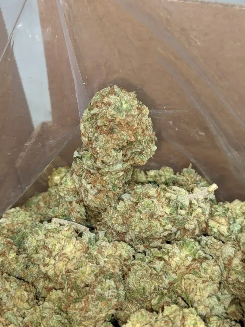Kali Mist - Image 3
