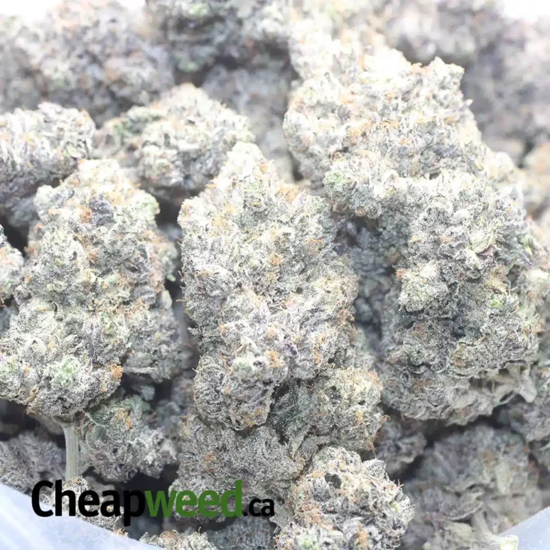 Khalifa Kush - Image 3