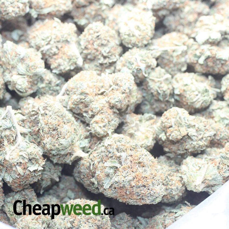 Kubbie Kush - Image 3