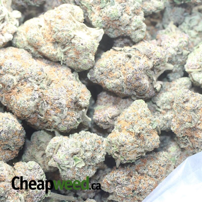 Kush Breath - Image 3