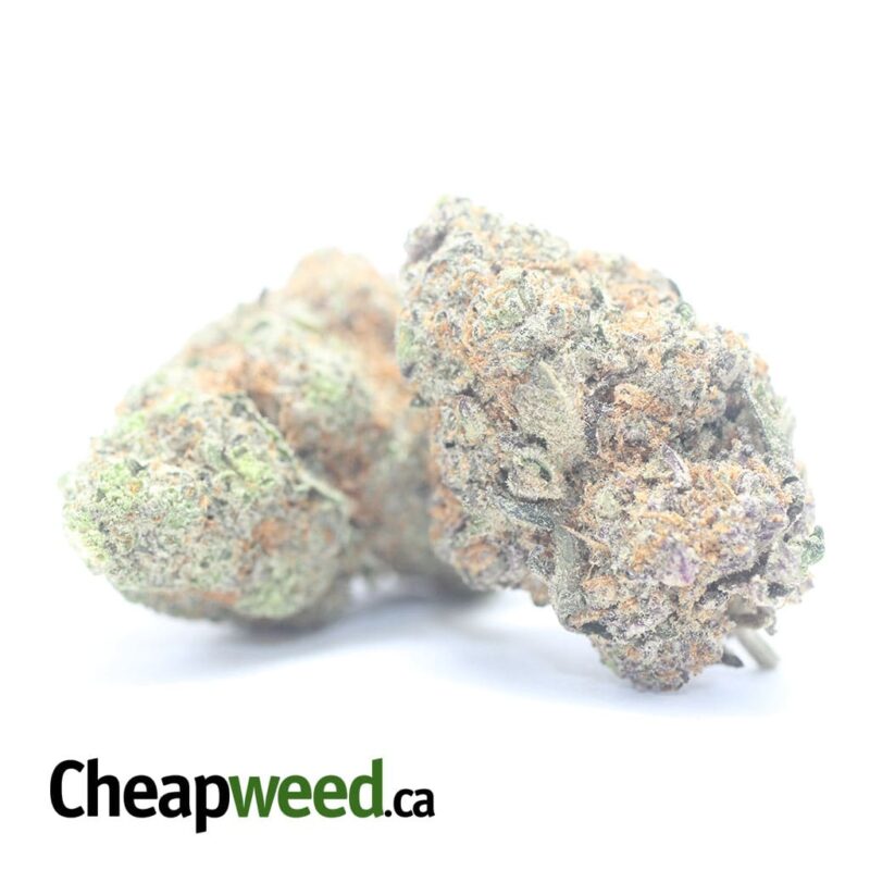 Kush Breath - Image 2