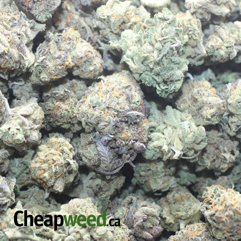 Kush Cookies - Image 3