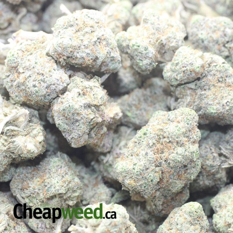 Kush Mints - Image 3