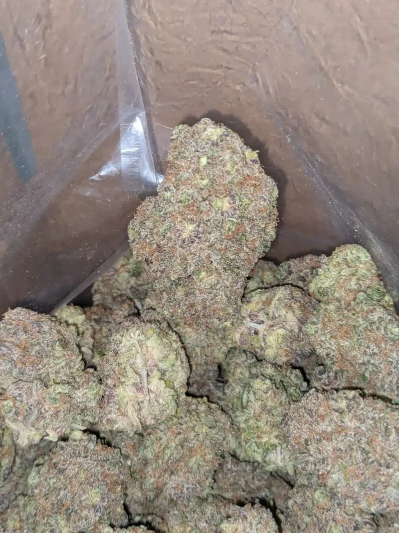 Key Lime Pie - Image 7