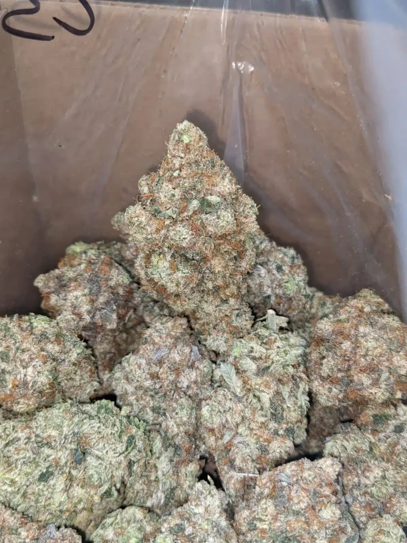 King Louis XIII - Image 4