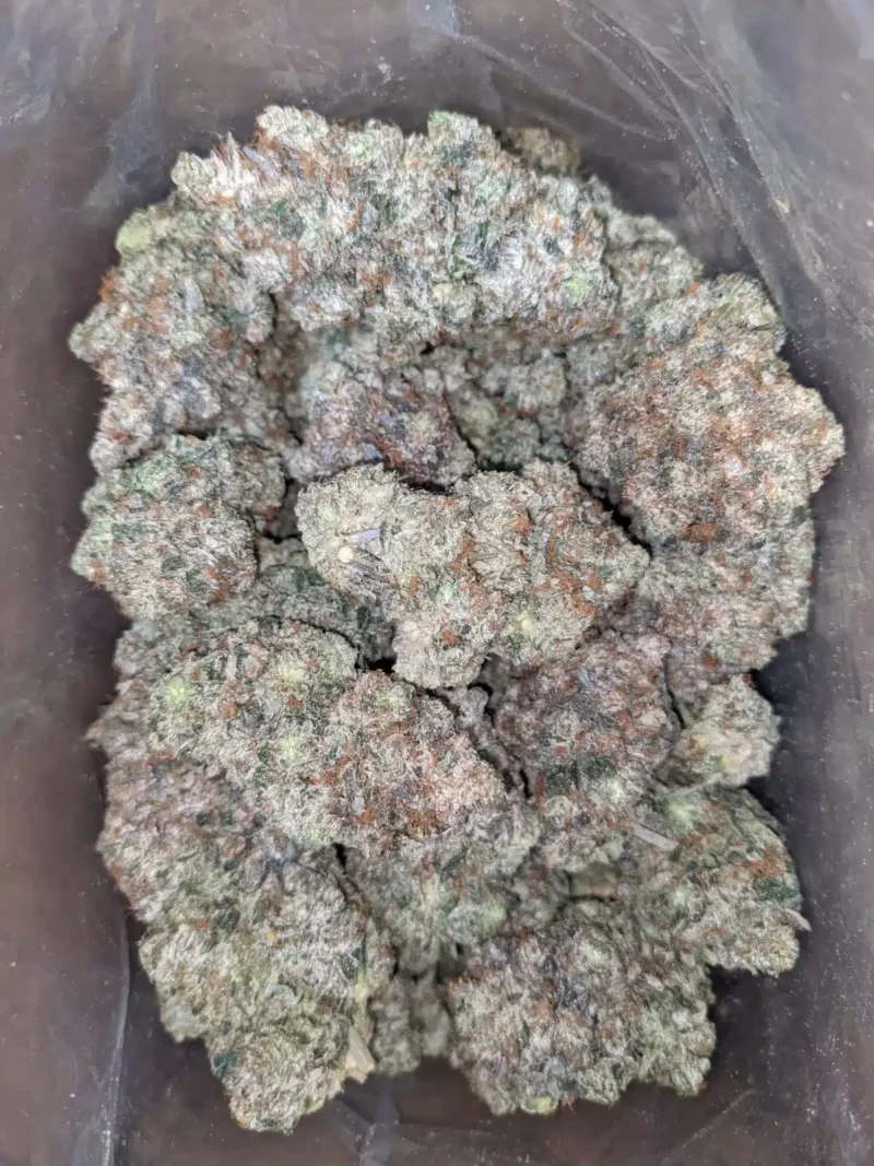 King Louis XIII - Image 5