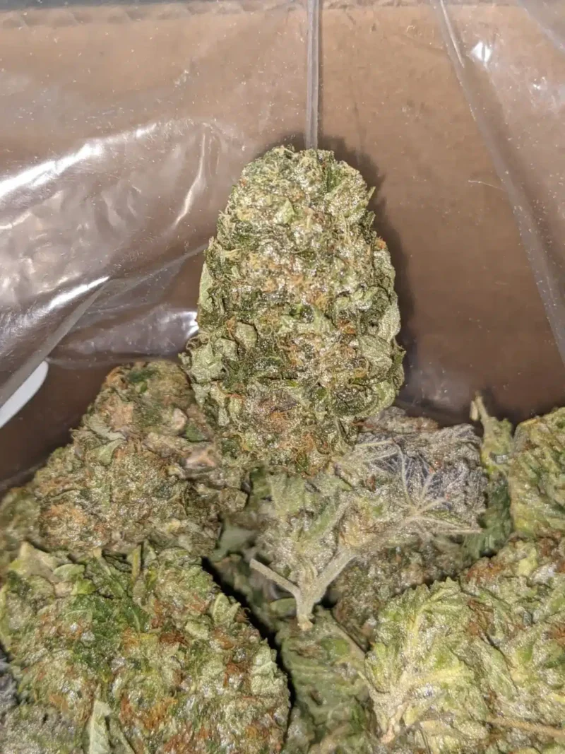 Kosher Kush – *Deal Of The Day* - Image 5