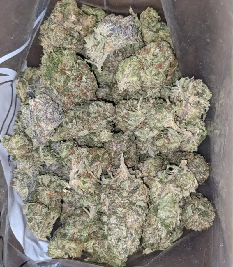 Kosher Kush – *Deal Of The Day* - Image 4