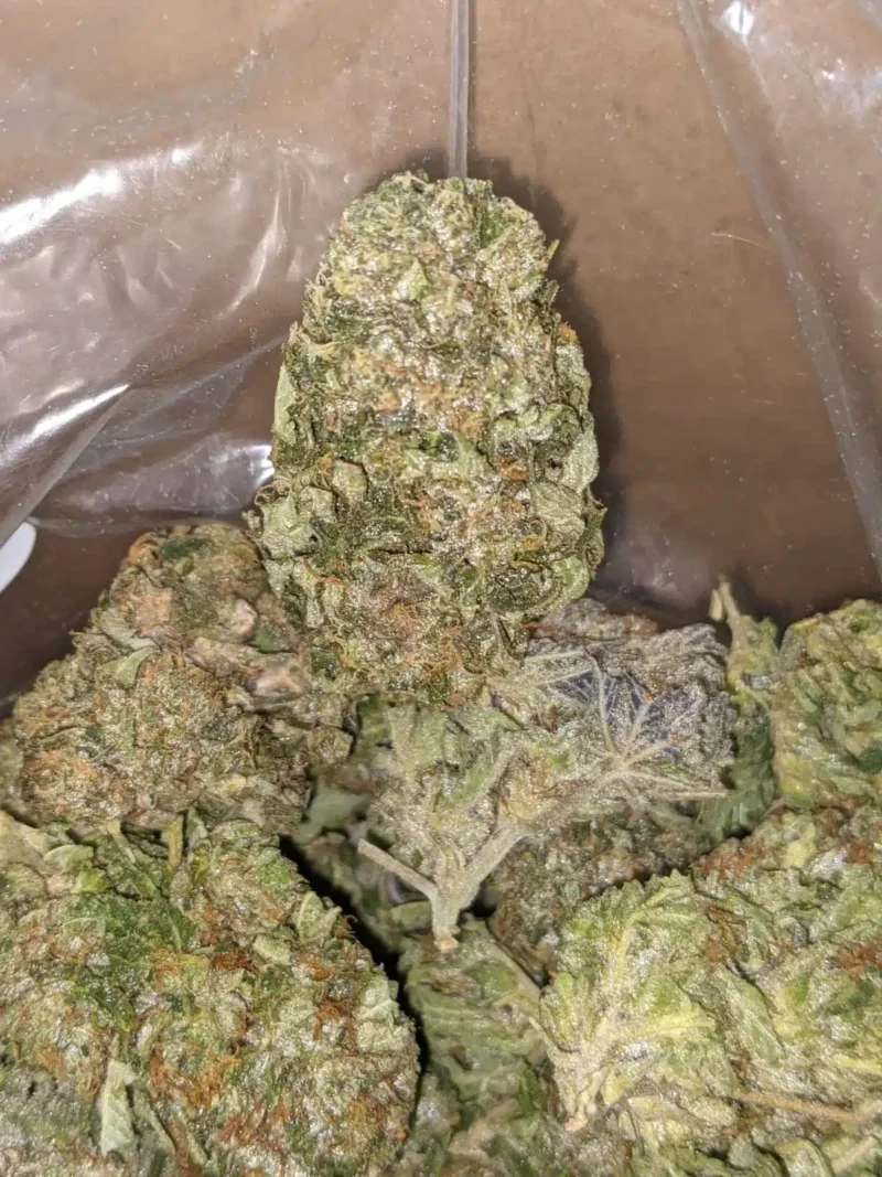 Kosher Kush – *Deal Of The Day* - Image 7