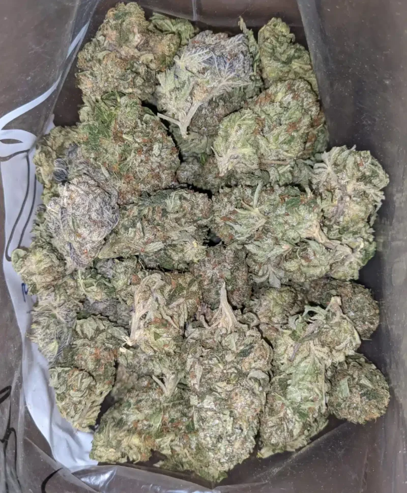 Kosher Kush – *Deal Of The Day* - Image 6