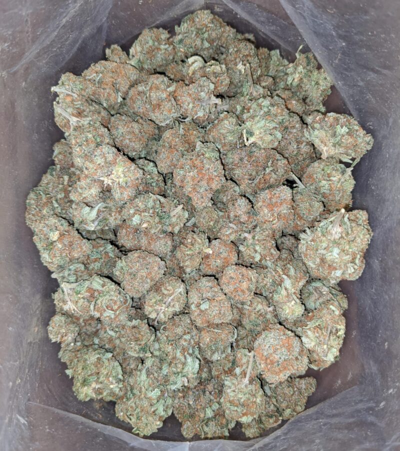 Kubbie Kush - Image 4