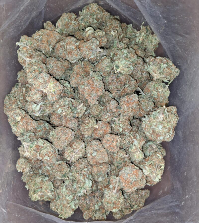 Kubbie Kush - Image 7