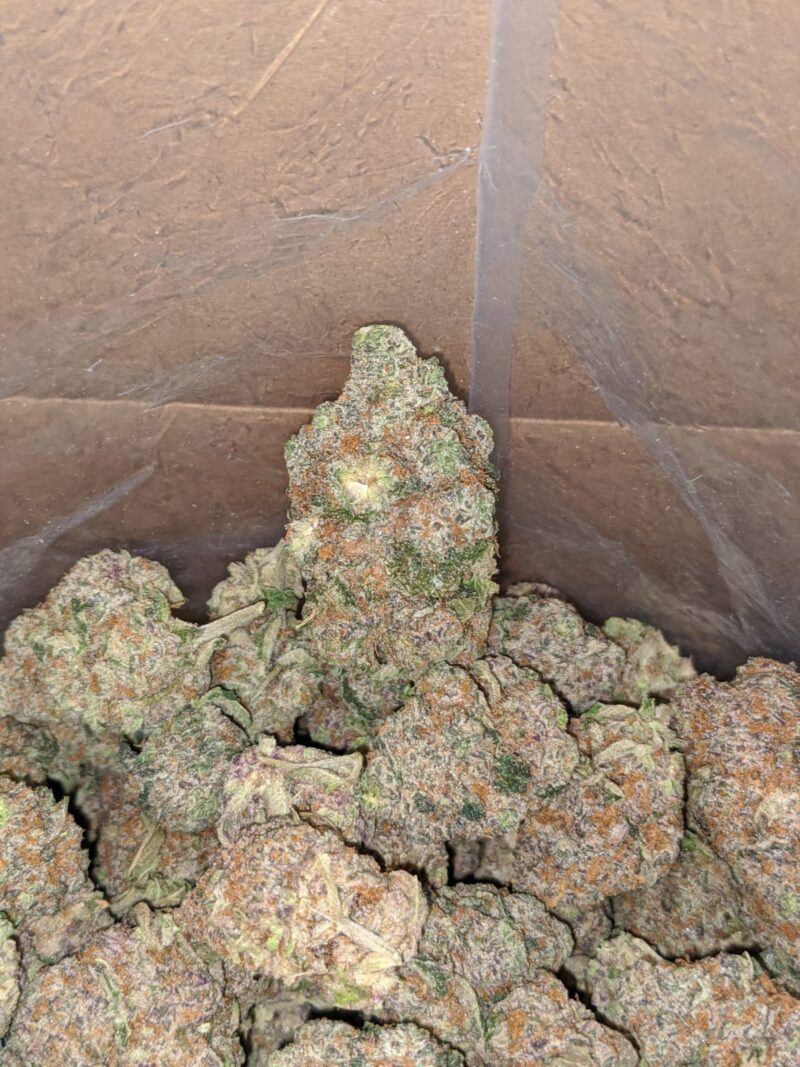 Kush Breath - Image 5