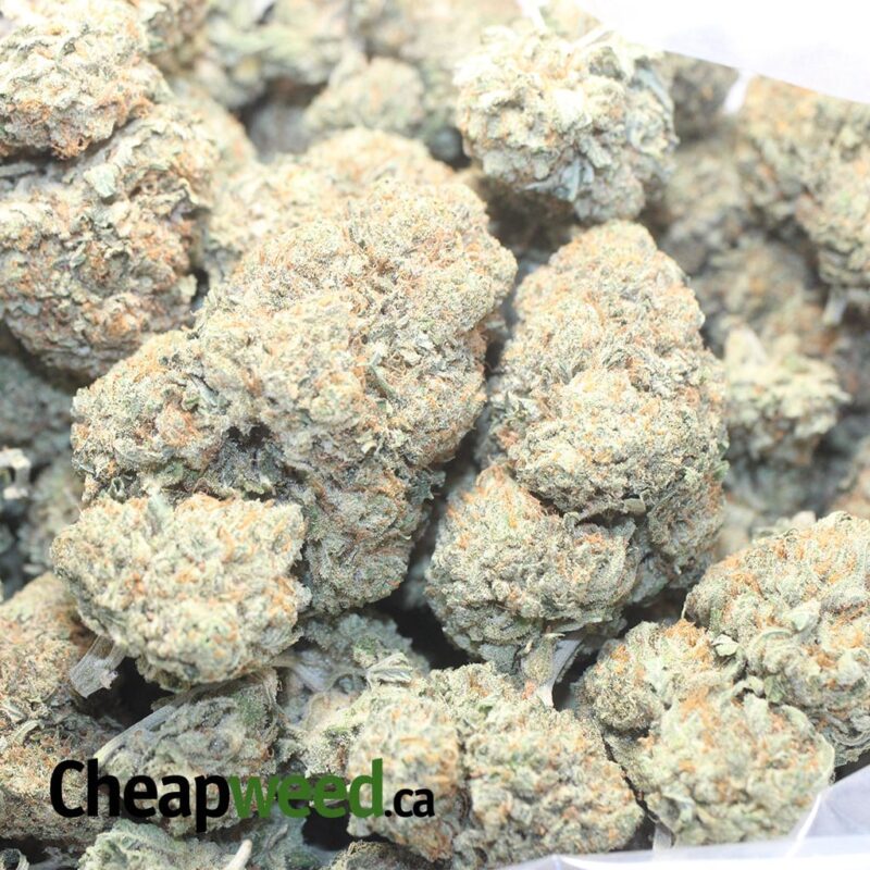Lemon Fuel - Image 3