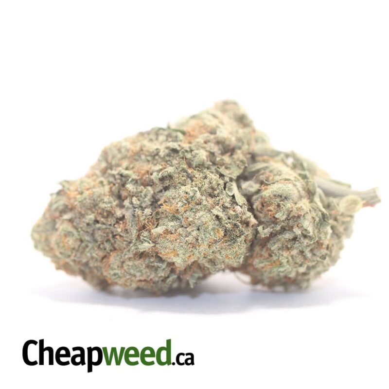 Lemon Fuel