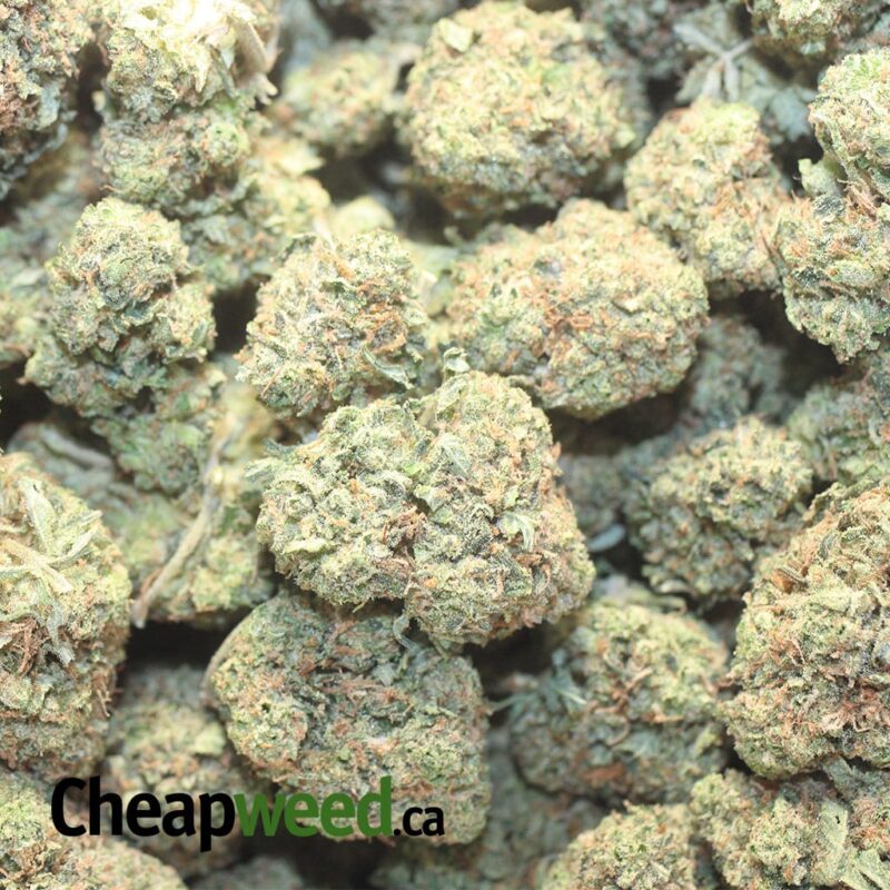 Lindsay Wreck OG - Image 3