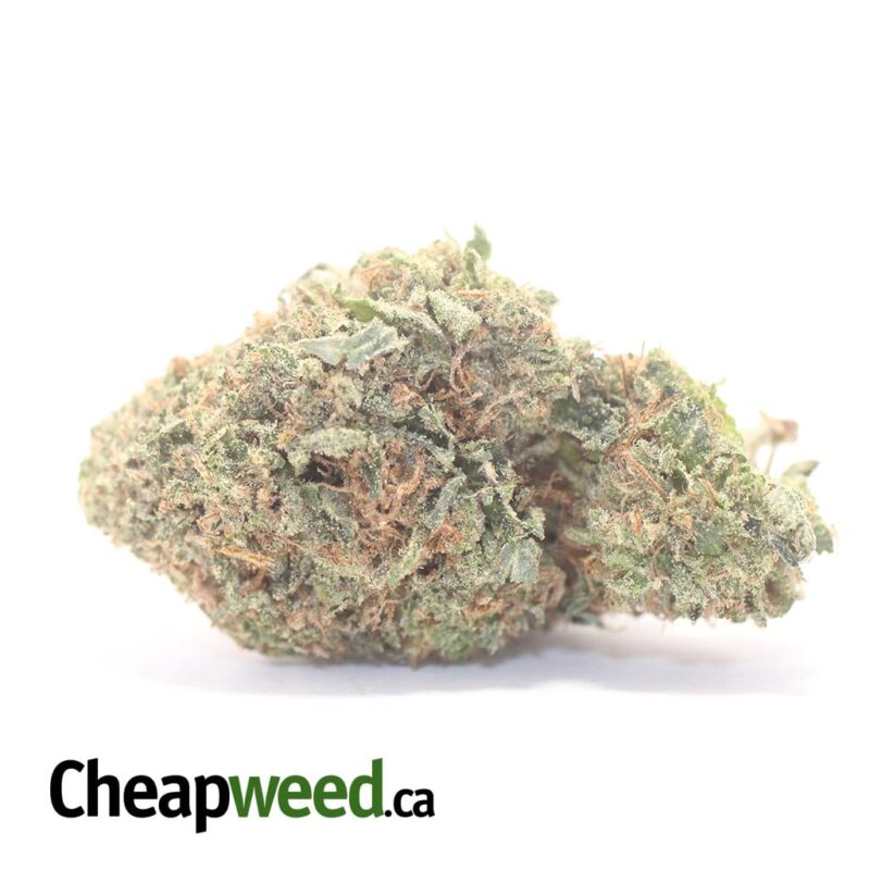 Lindsay Wreck OG