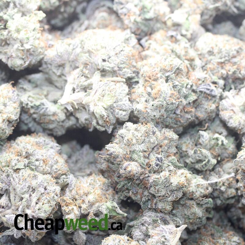 LA Kush Breath - Image 3