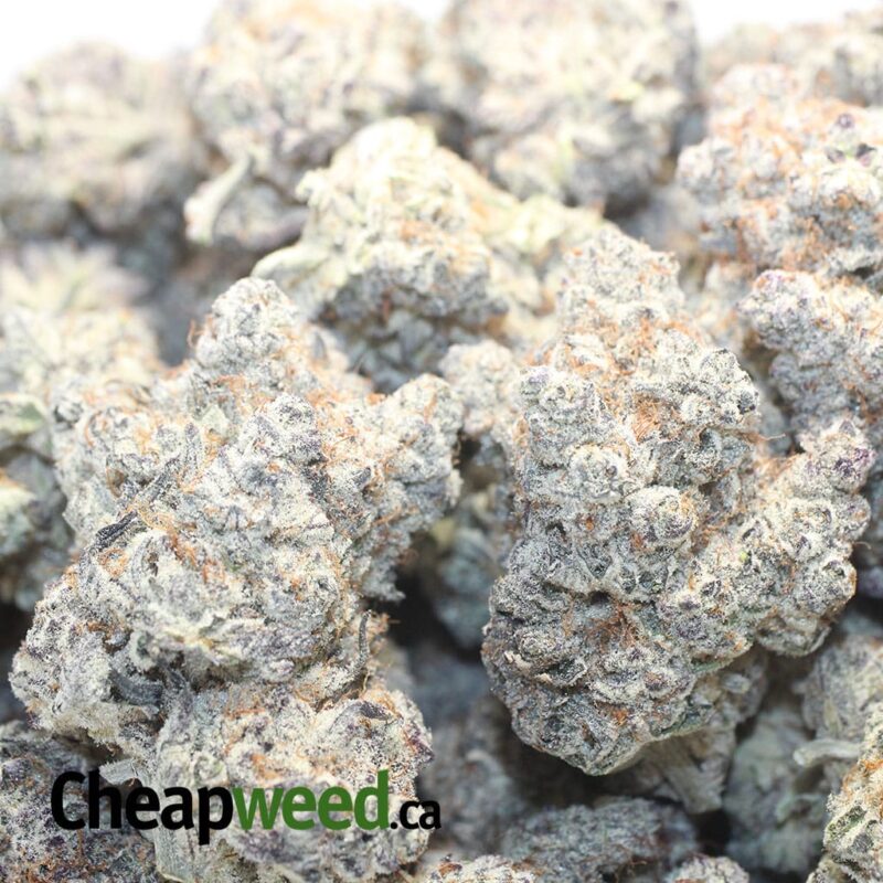 $ 150 Oz – La Kush Breath - Image 3