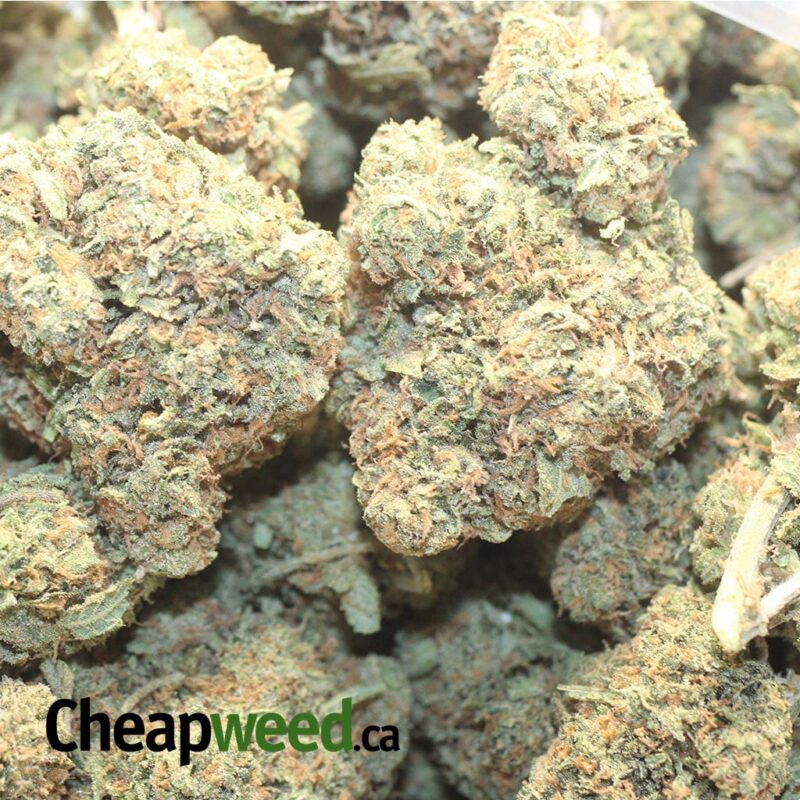 LA Cake Breath - Image 3