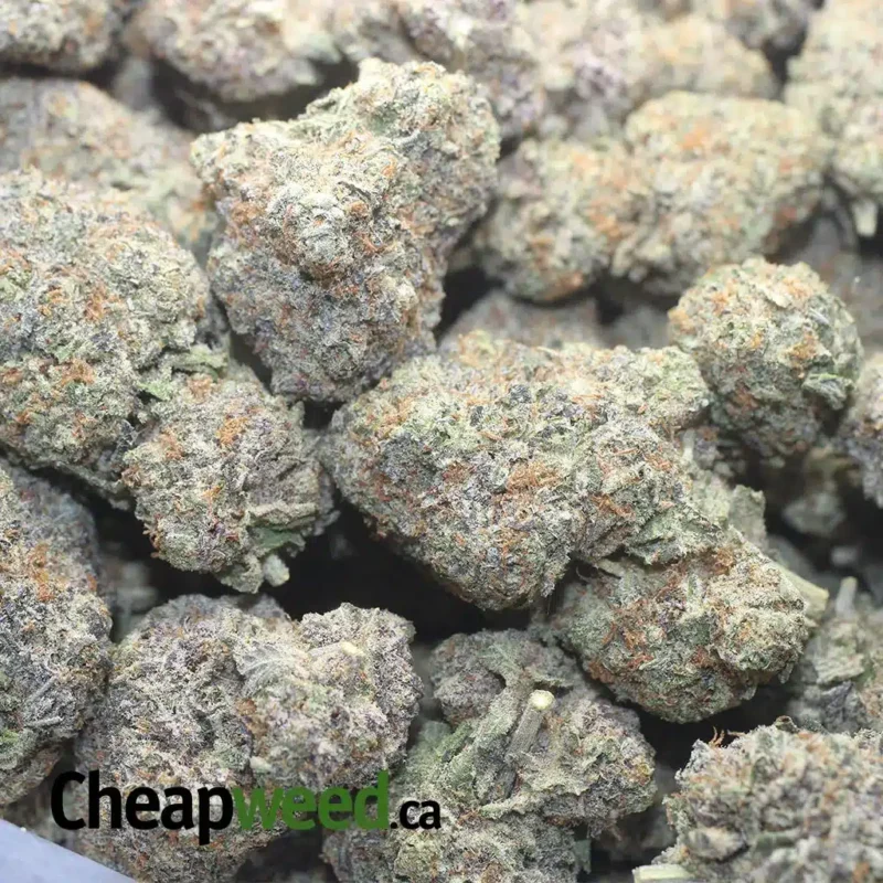 LA Kush Cakes - Image 3