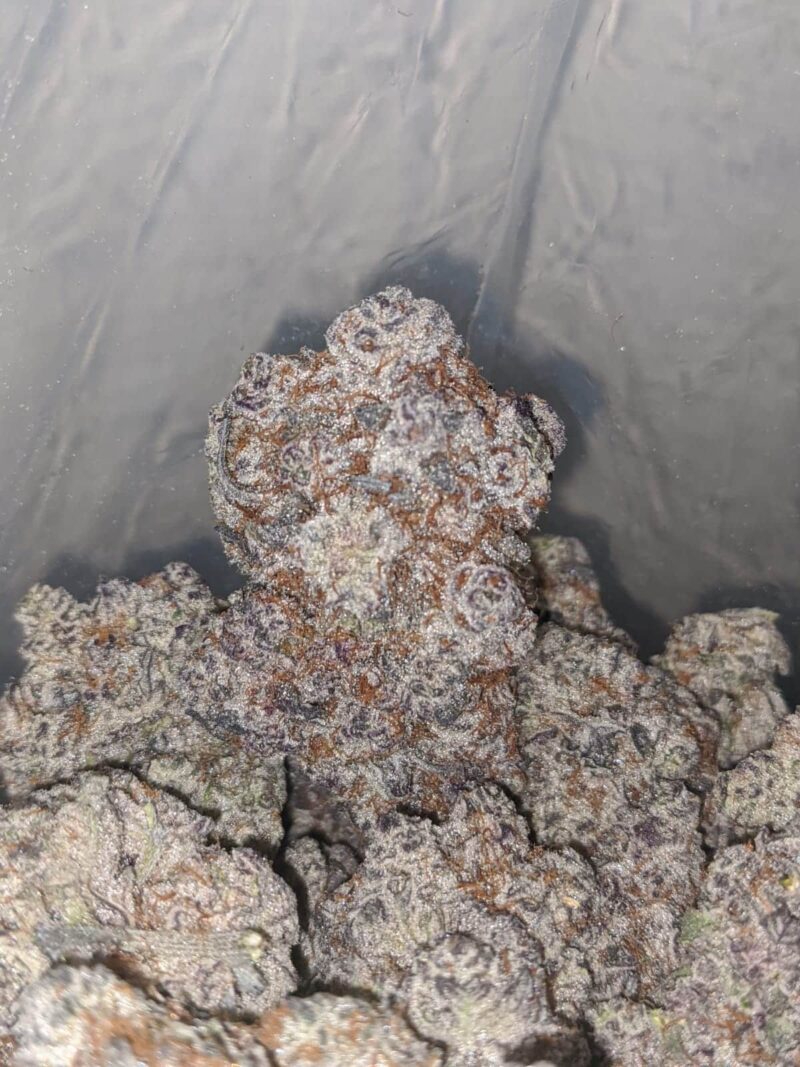 $ 150 Oz – La Kush Breath - Image 4