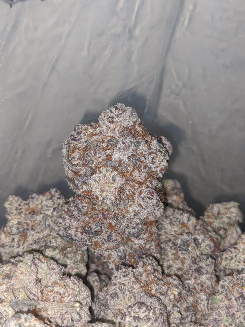 $ 150 Oz – La Kush Breath - Image 7
