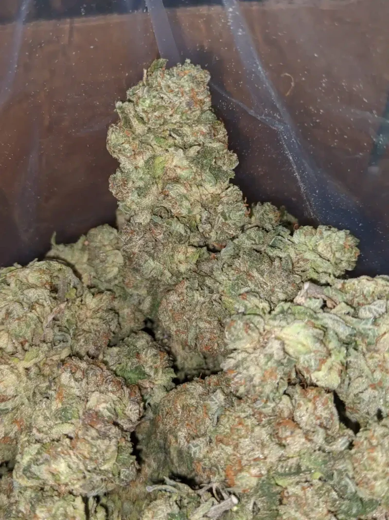 Lavender - Image 2